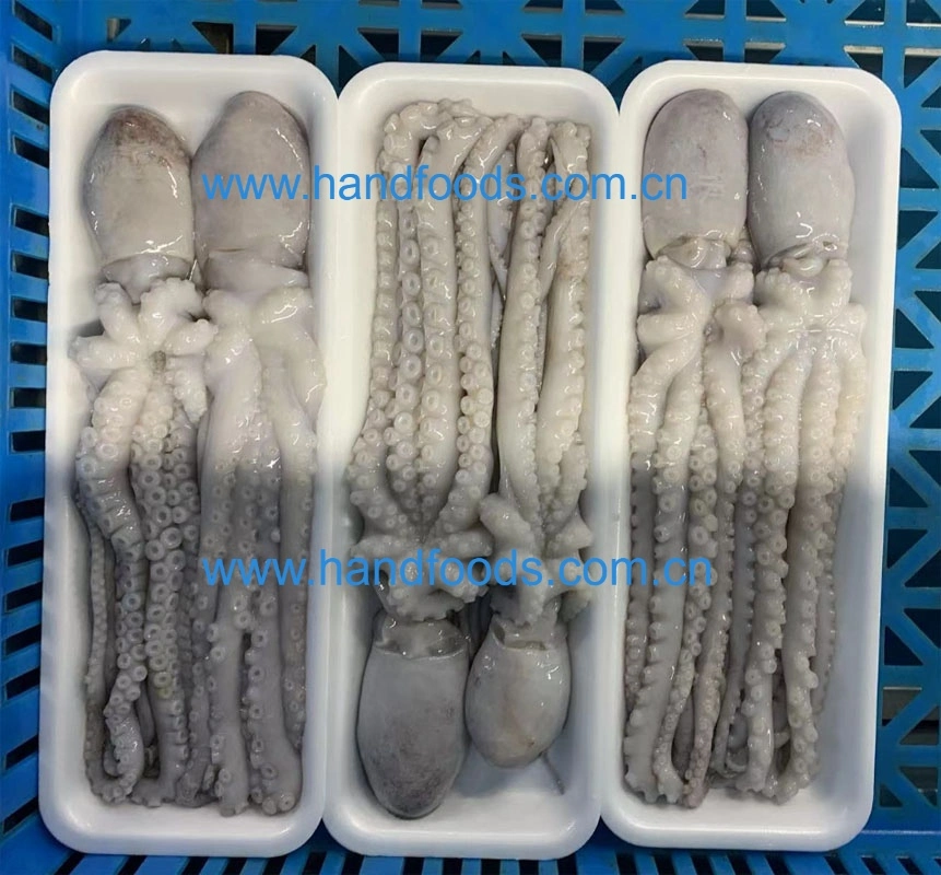 Premium Quality Seafood of Frozen Whiparm Octopus (long-leg)