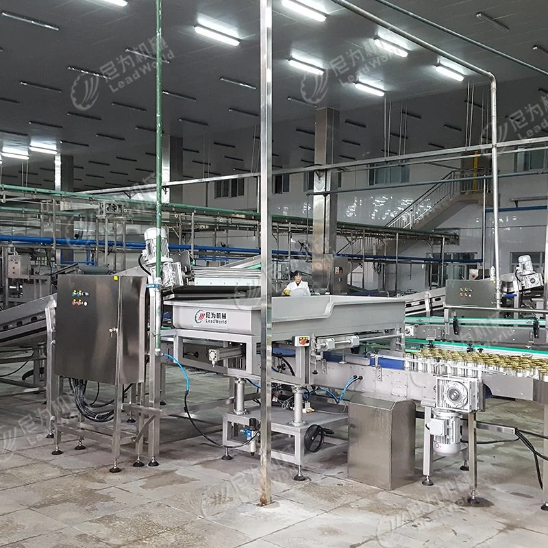 Automatic Canned White Button Mushrooms Processing Line