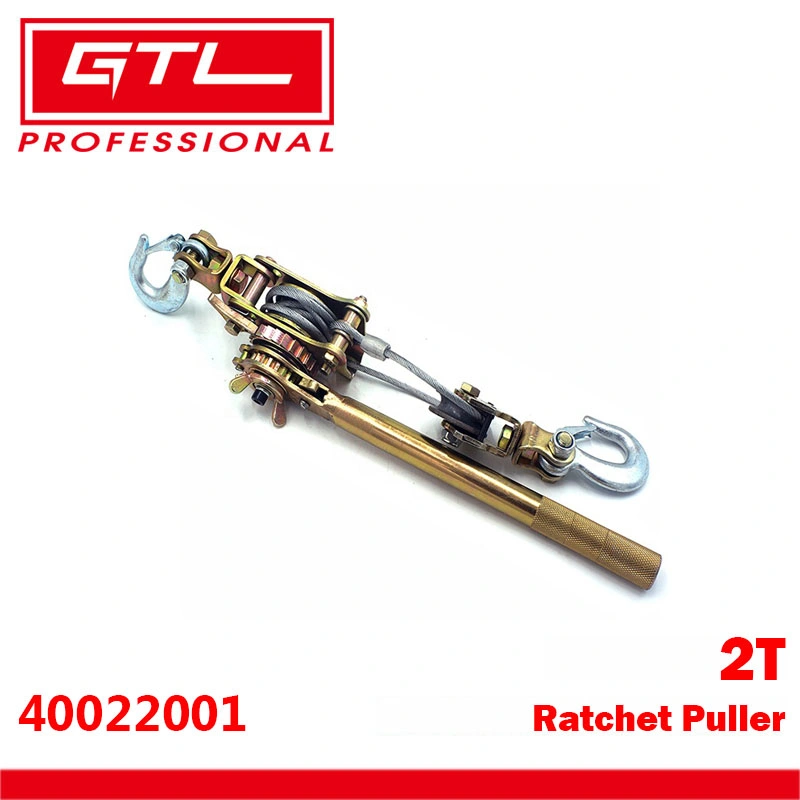 2t Ratchet Puller Come Along, Hand Winch Power Wire Rope, Cable Manual Puller for Towing/Electricity Maintenance, Alloy Steel Material, Double Hook (40022001)