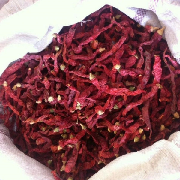 China Manufacture Premium Quality Dry Xian Chili, Dry Xian Chlili