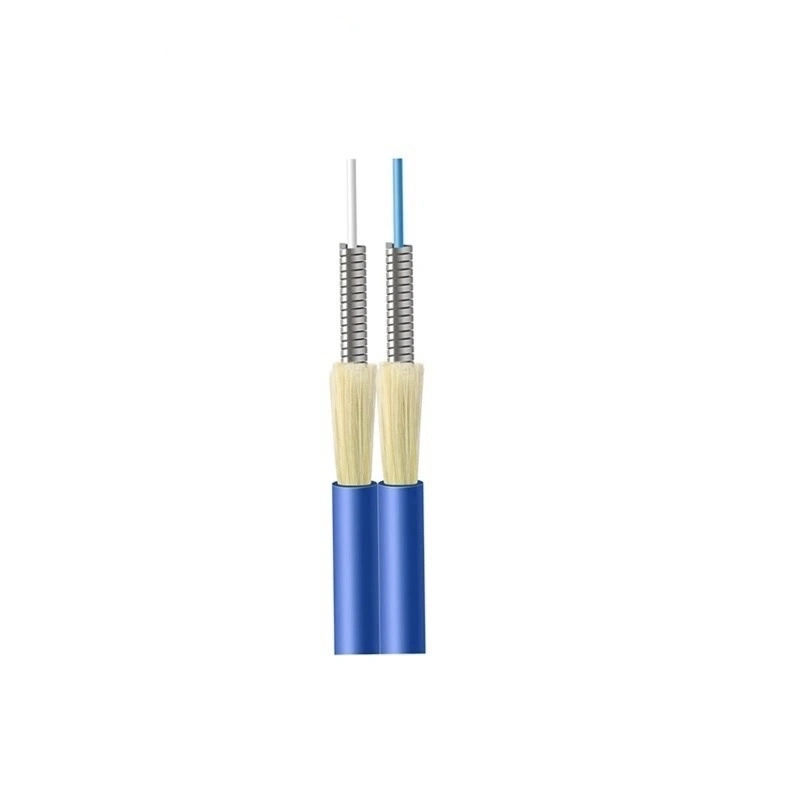 Fcj Armored Optical Fiber Cable a Layer of Stainless Steel Wires Aramid Cable Gjsfjbv