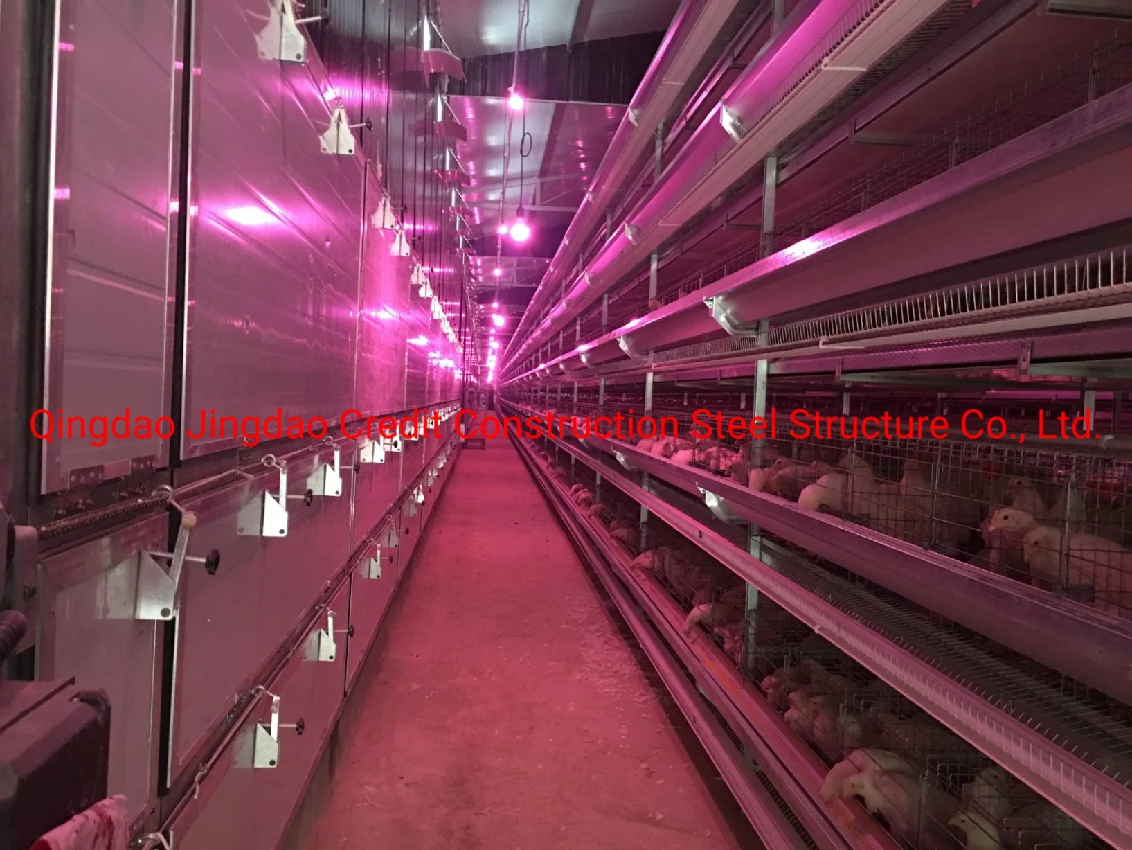 Poultry House Washer/Poultry Houses for Sale/Poultry House Equipment/Poultry House Blower/Poultry House Doors/Poultry House Ventilation Fans/Poultry Housedesign