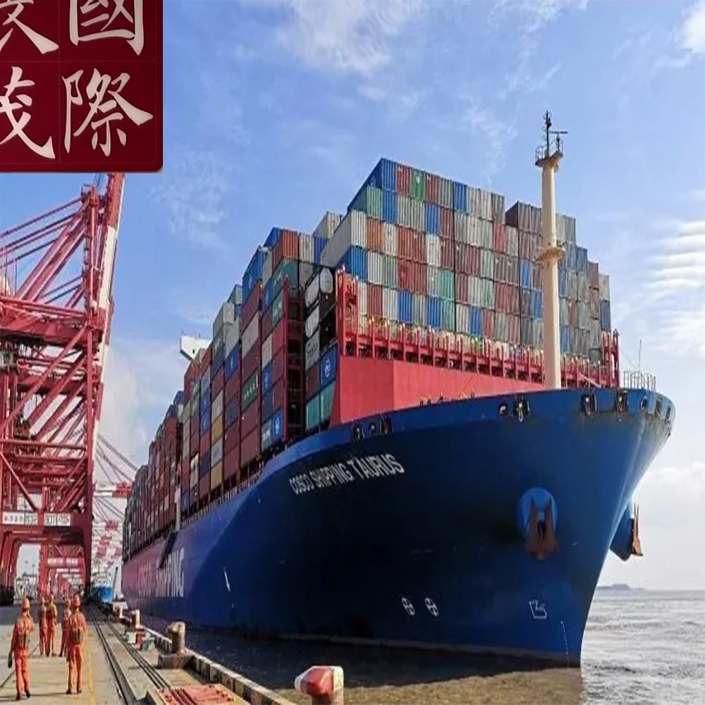 Seecontainer Seefracht Preise FCL LCL Forwarder, Versand Tür zu Tür Service von China in die USA