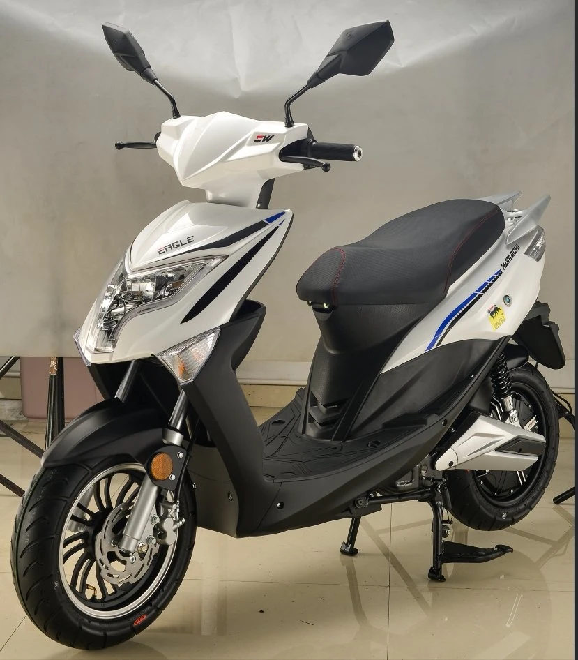 Portable Lithium Battery (Eagle) EEC E-MARK 3000W Electric Scooter Motorcycle