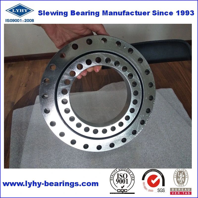 Slew Bearing Slewing Gear with Nickel Plated for Water Treatment Equipment (010.20.200)