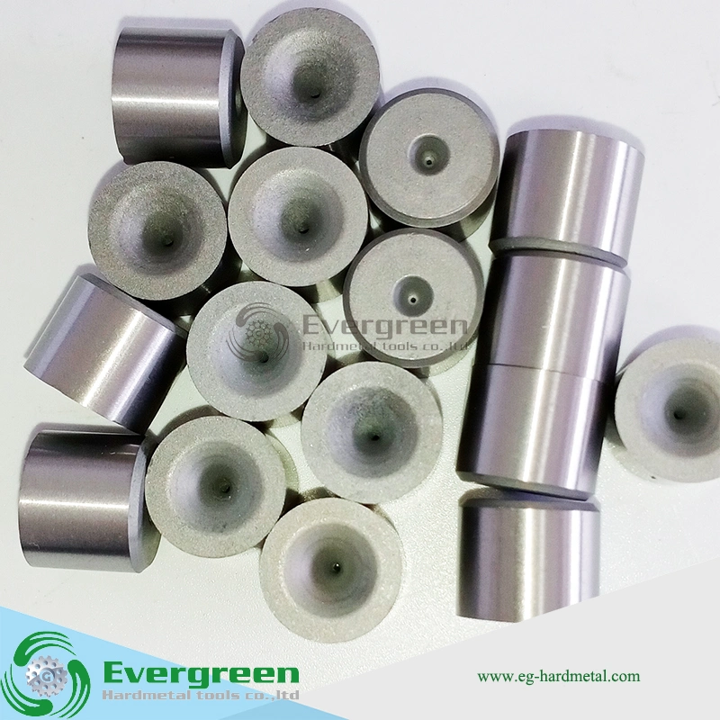 Tungsten Carbide Material Extrusion Screw Mould Hex Heading Dies Tooling Manufacture