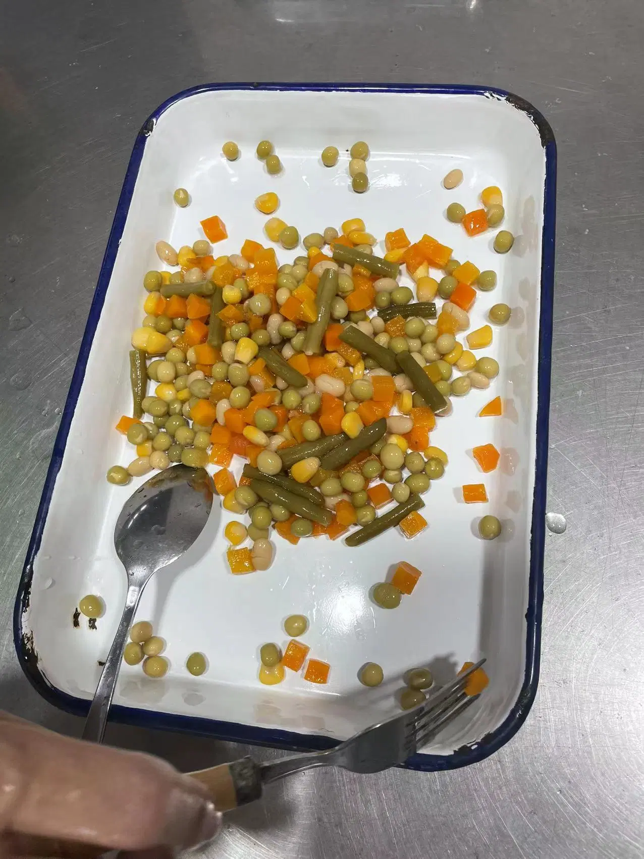 Canned Mixed Vegetables in Tins Corn Carrot Green Beans Green Peas