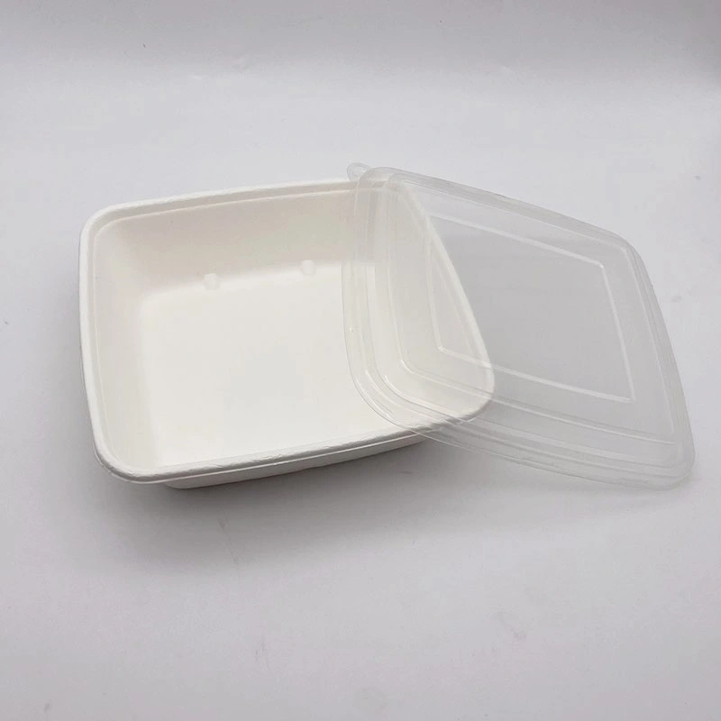 Environment-Friendly Sugarcane Pulp Single Lattice Square Packing Box