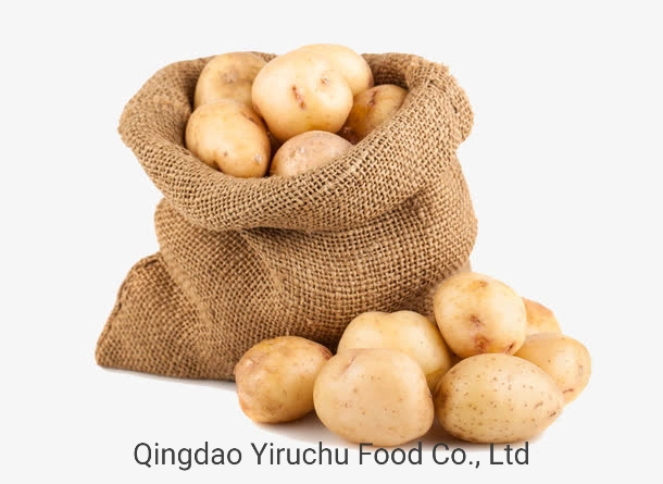 China' S Best-Selling patatas frescas de alta calidad