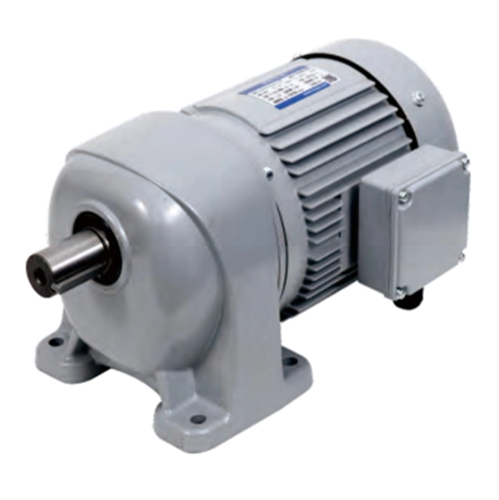 G3 Helical Gear Motor for Mixer with Good Bearings and SKF Oil Seal