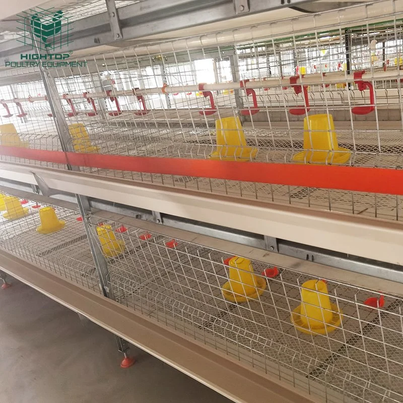 Cage de poulet de batterie de type H avec système d'alimentation automatique.