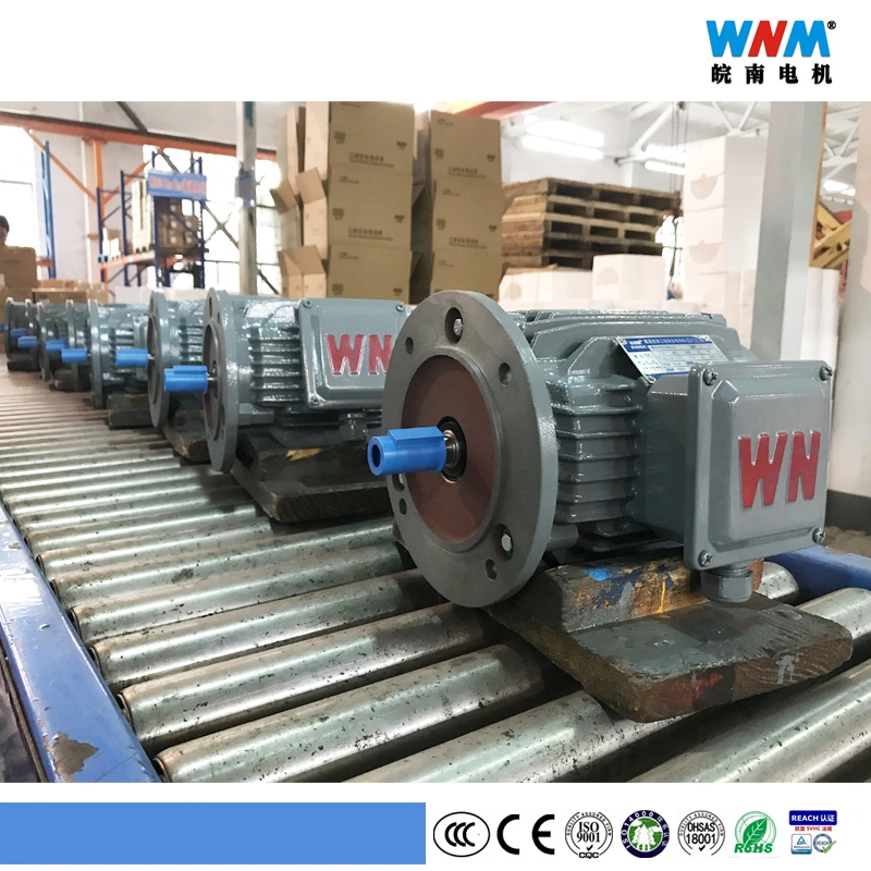 Low Vibration and Low Noise Motor Electrical Type Induction Asynchronous Speed