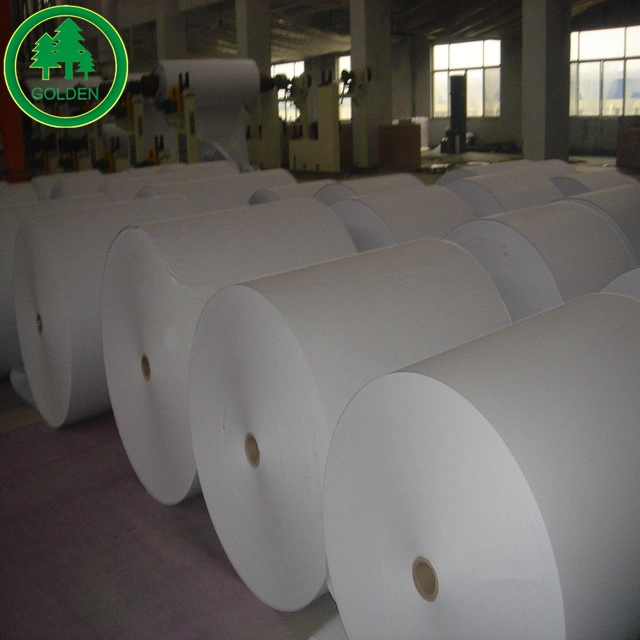 Office Printing Paper White Woodfree Offset Paper Bond Paper for Books Notebooks Printing