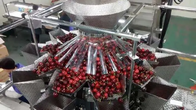 Fully Automatic Fruit Punnet Weighting Packing Clamshell Tray Packing Machine for Lettuce