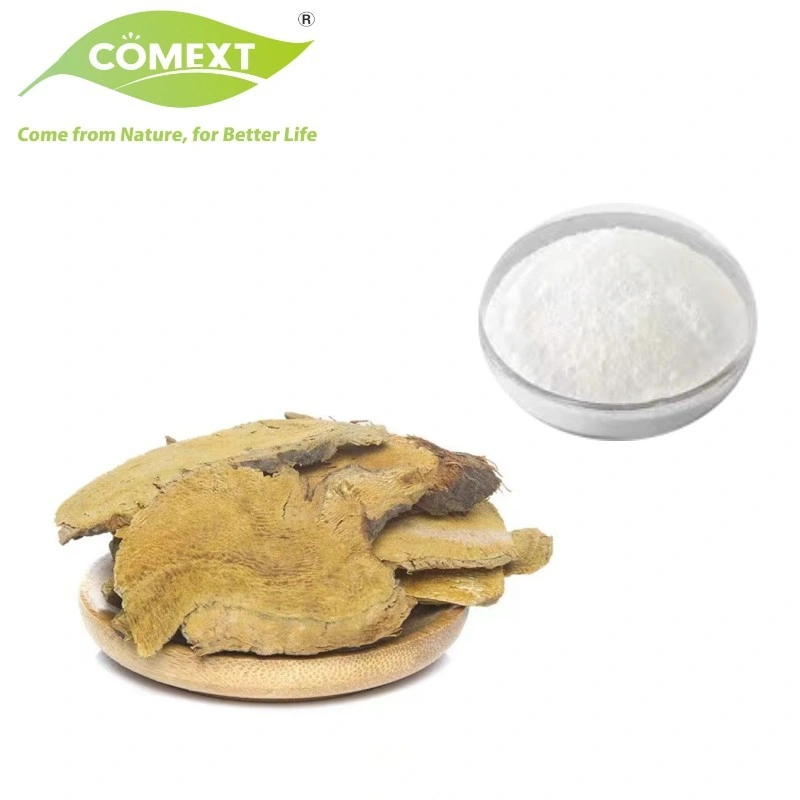 Comext Fssc Original Factory Free Sample HPLC 50% 98% Natural Herbal Polygonum Cuspidatum Plant Giant Knotweed Extract Powder Antioxidant Resveratrol for Skin Care