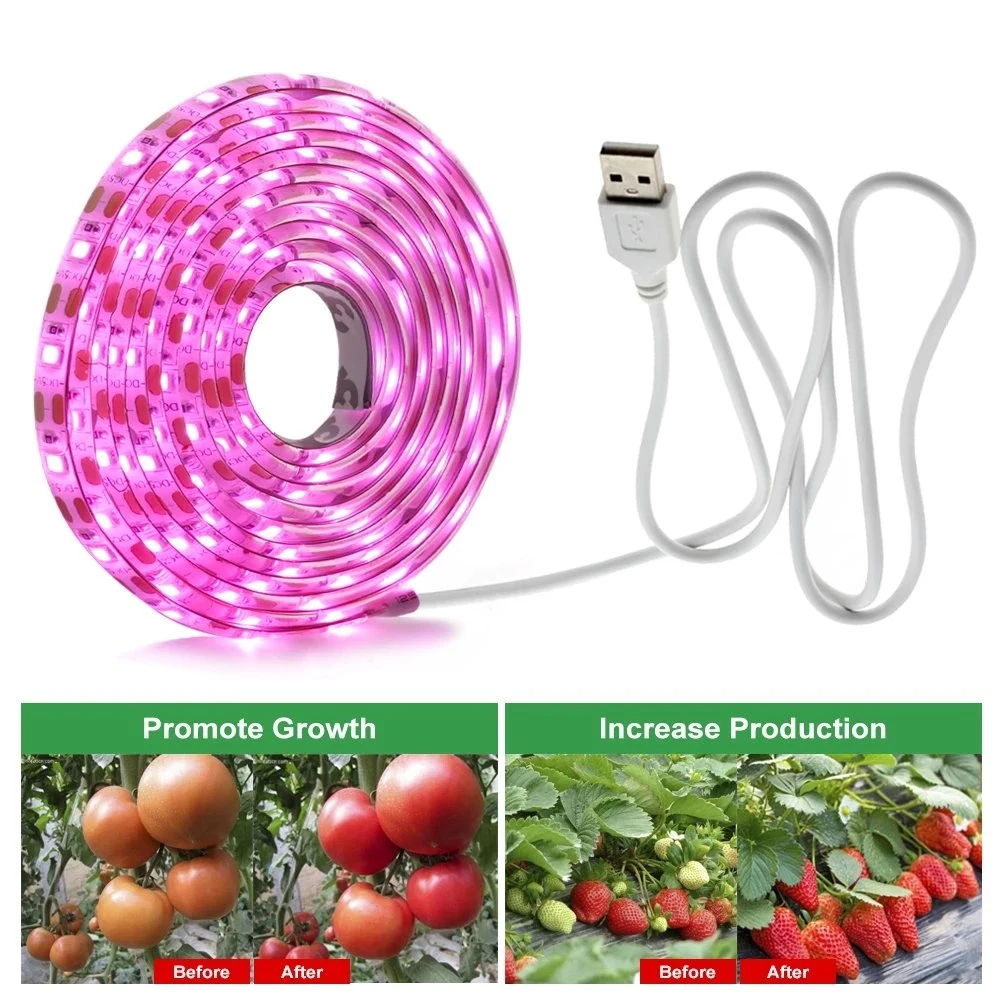 LED GROW Light Full Spectrum USB GROW Light Strip 0,5 M. ruban Phyto LED 1 m 2 m 2835 CMS DC5V pour Graines plantes fleurs serres