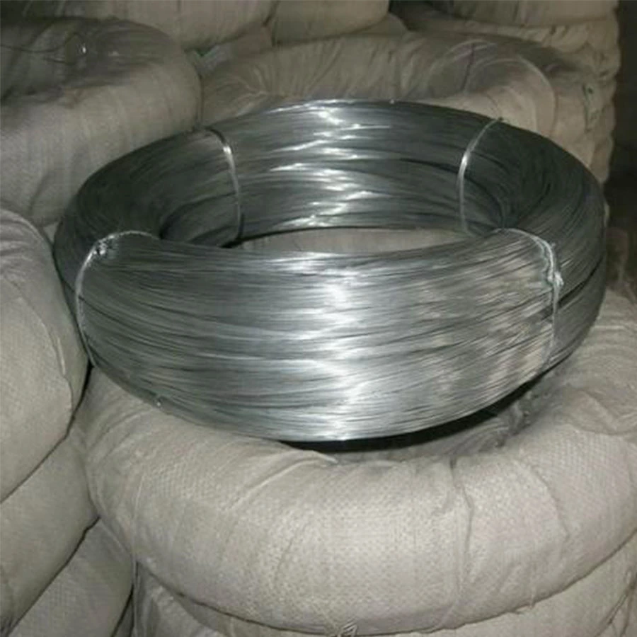 Hot Dipped/Electric Galvanized Mild Steel Binding Wire/Black Annealed Iron Tie Wire Bright Florist Cut Stainless Steel Spool for Construction/Building Material