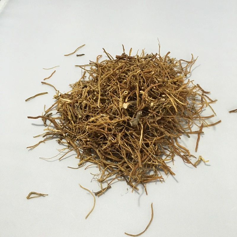 Long Dan Cao Natural Herbal Medicine Felwort Rough Gentain