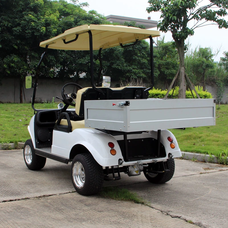 New Design 2 Seater Electric Cars Mini Pickup Truck Cargo Box Lithium Battery