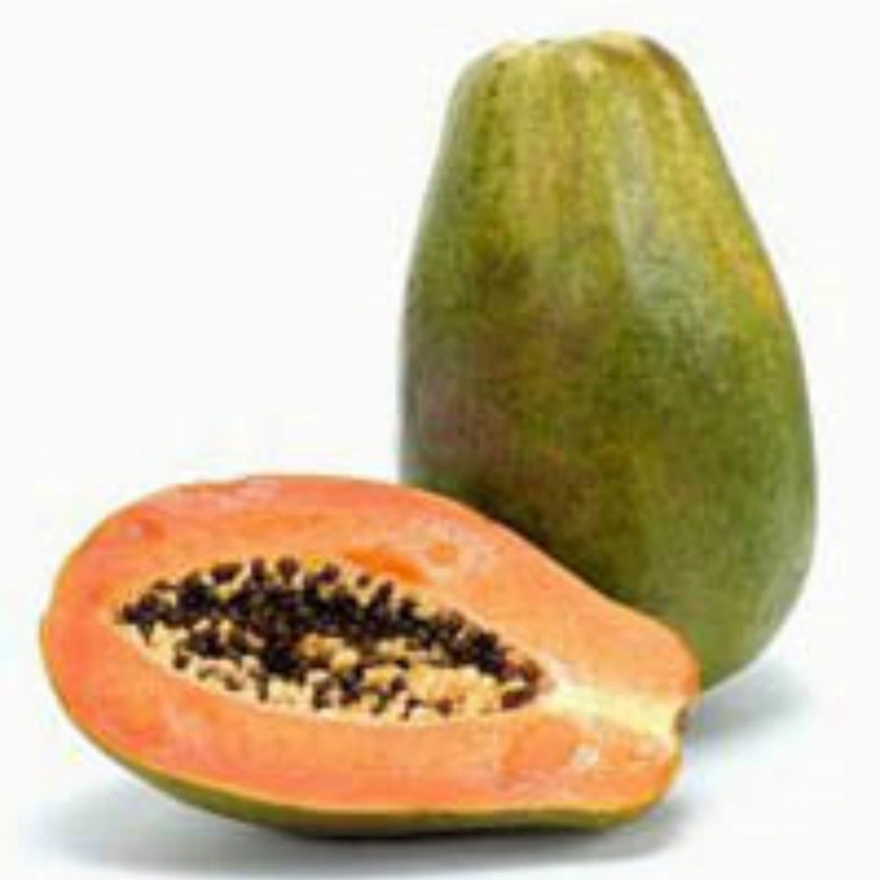 Nutural Plant Extract Papaya Extract Papain Improve Immunity Factory Supply