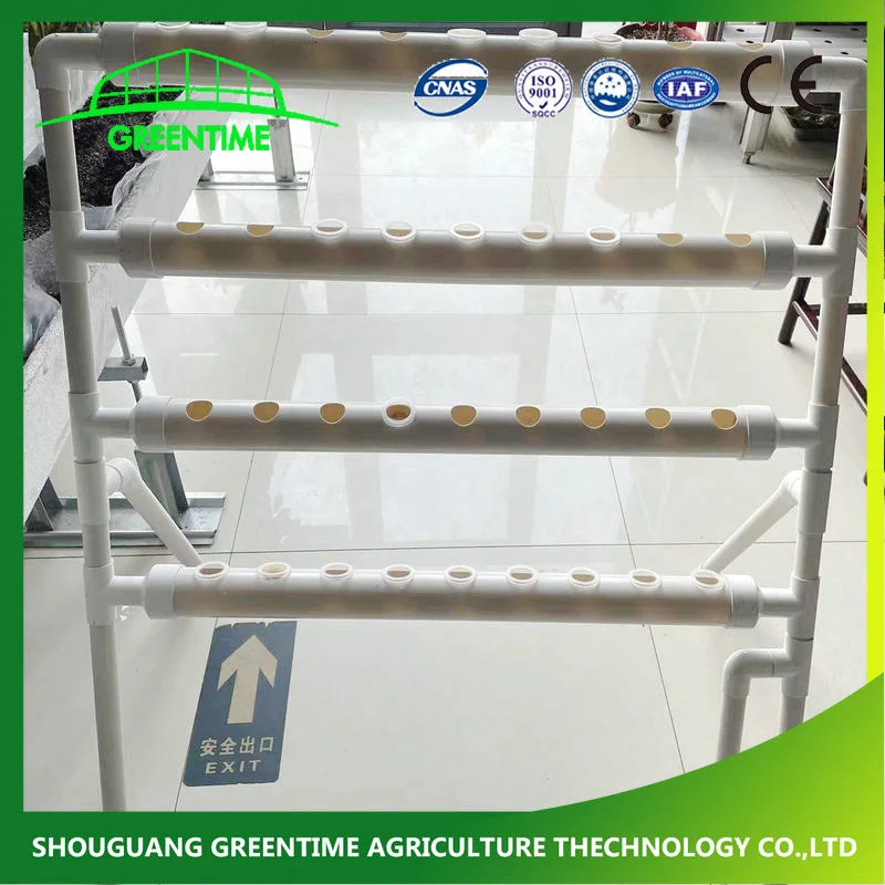 PVC Pipe Model Vertical Hydroponics System for Leaf Vegetables