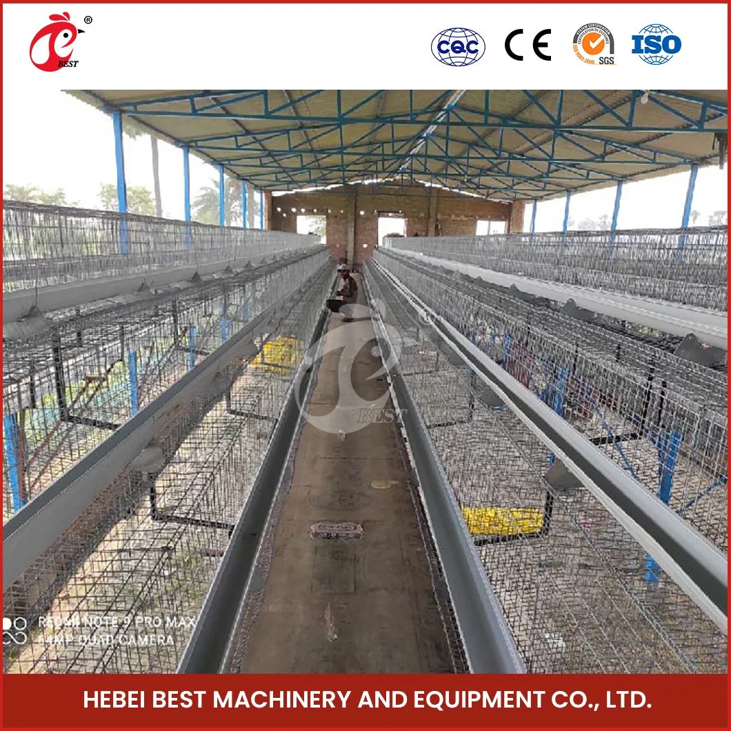 Bestchickencage China a Frame Chicken Layer Coop Factory OEM Custom Poultry Layer Chicken Cage for Poultry Farming Configuration Chicken Coop Floor