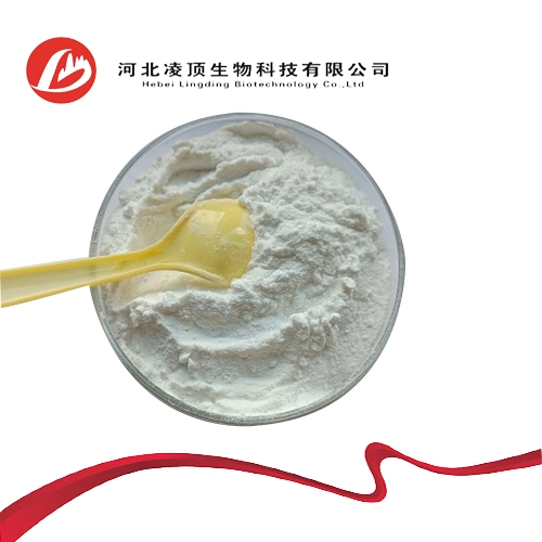 Preferential Prices Supply High quality/High cost performance CAS 17465-86-0 Cyclodextrins Powder