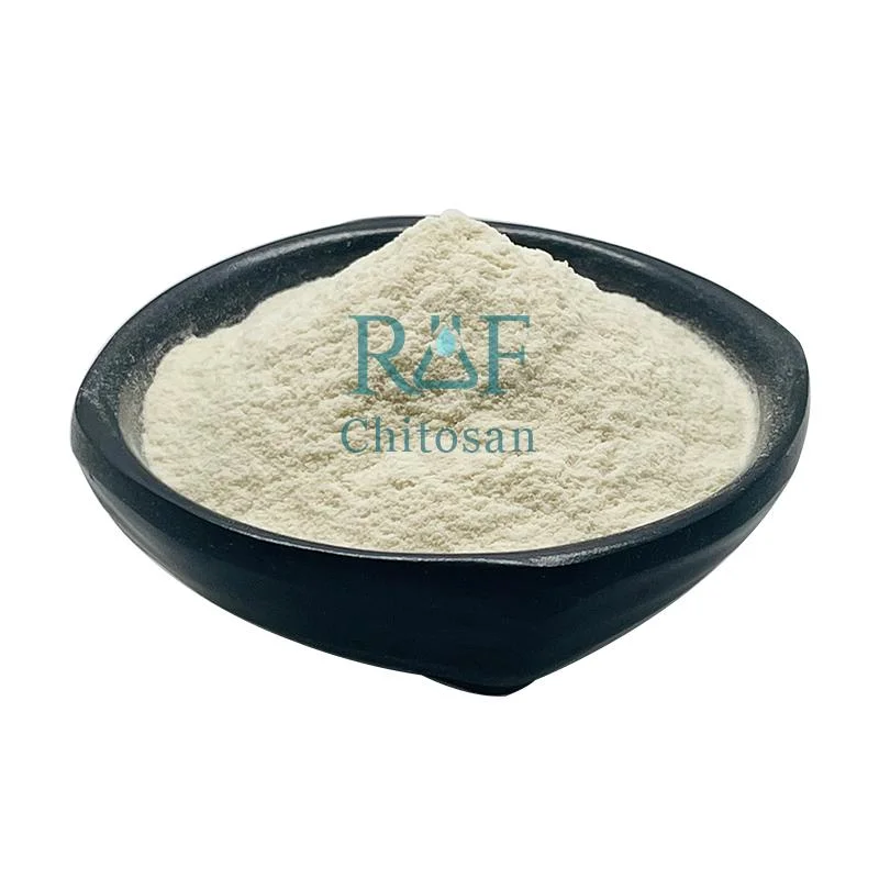 Daily Grade Pure Powder Chitosan