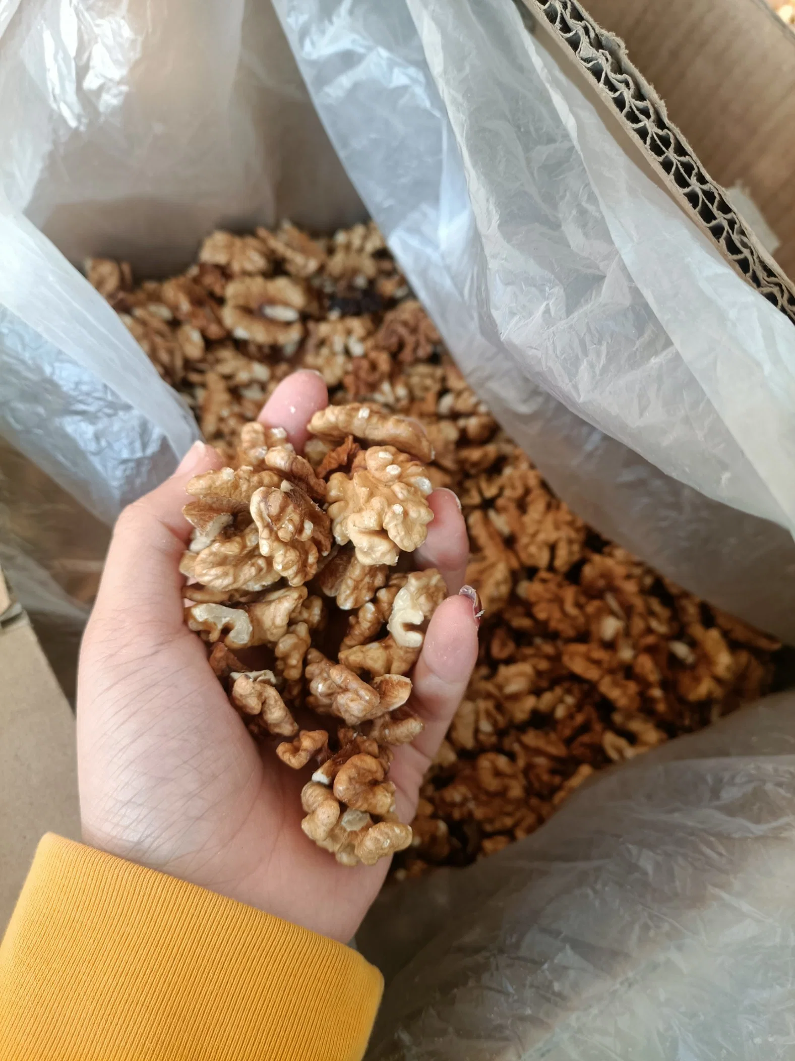 Factory Wholesale/Supplier Half Xinjiang Walnut Kernel