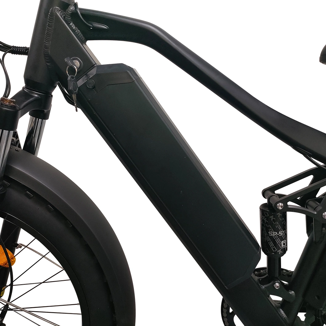 Amazon Top Selling 750W Powerful Fat Tire Electric Bike