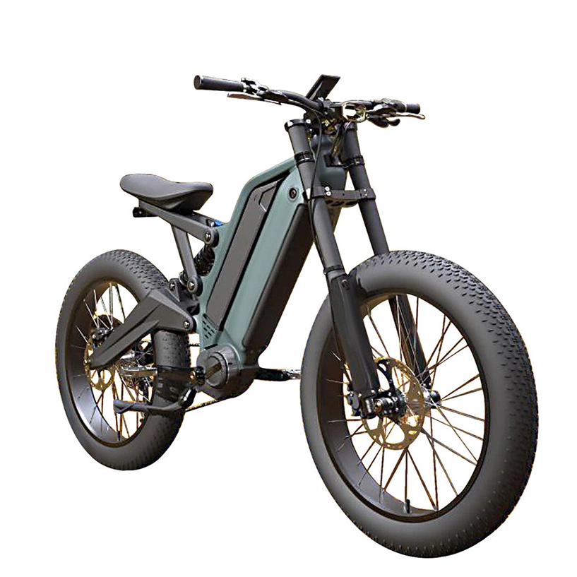 24 pouces 48V 15ah 10ah 9 Vitesse Cycle Vélo électrique en alliage d'aluminium Pneu gras 1000W