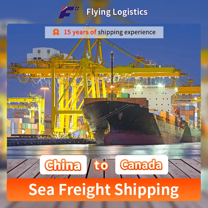 China Speditor/Flug/Seeschifffahrt/Express/Logistik/ Pakete zusammenführen Versand China nach Kanada