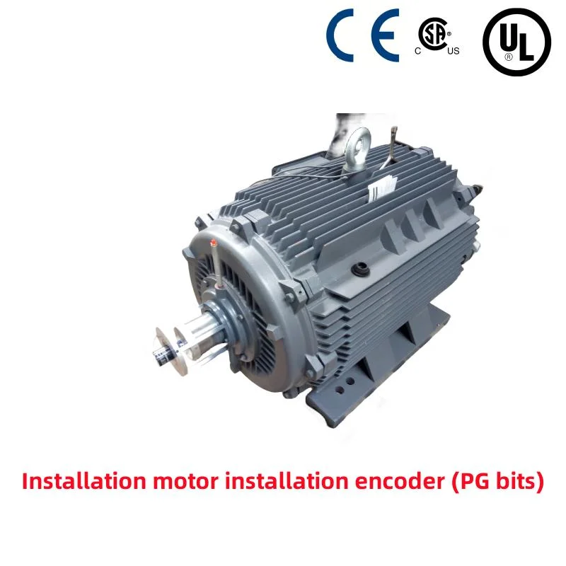 Motor de conversión de frecuencia variable trifásico de baja tensión de hierro fundido/UL Motor inversor de autenticación