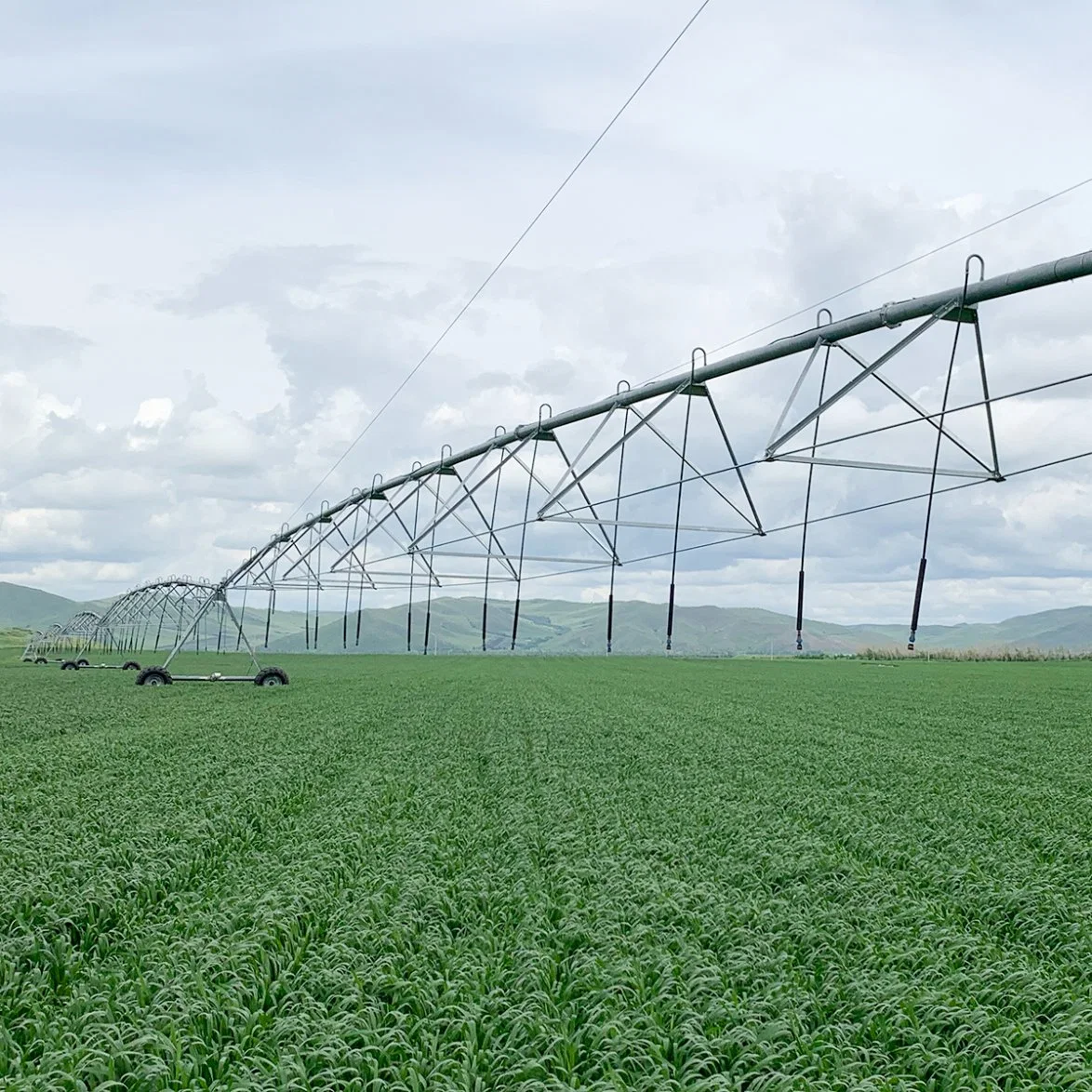 Central Pivot Sprinkler Irrigation Machinery for Large Corn Field