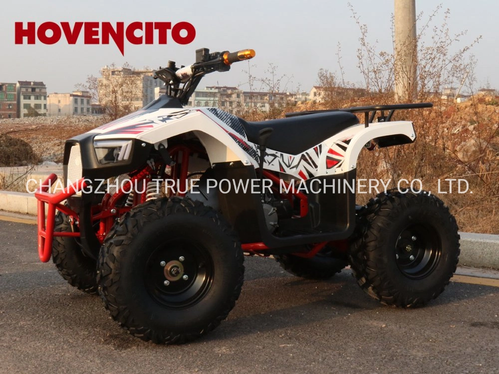 Sports ATV Dirt Quad Bike Electric ATV