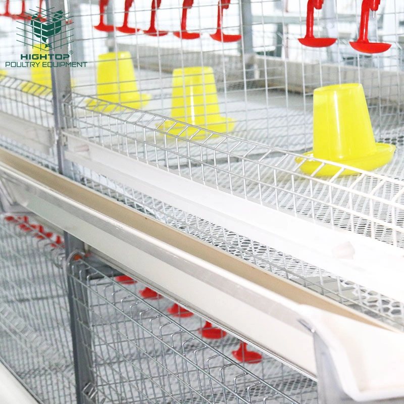 Chicken Farming Poultry Equipment 3 Tier Automatic Broiler Battery Cage
