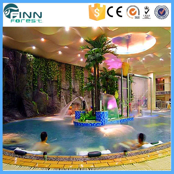 Swimming Pool Equipment Tranditional Stainless Steel Pool SPA Equipment