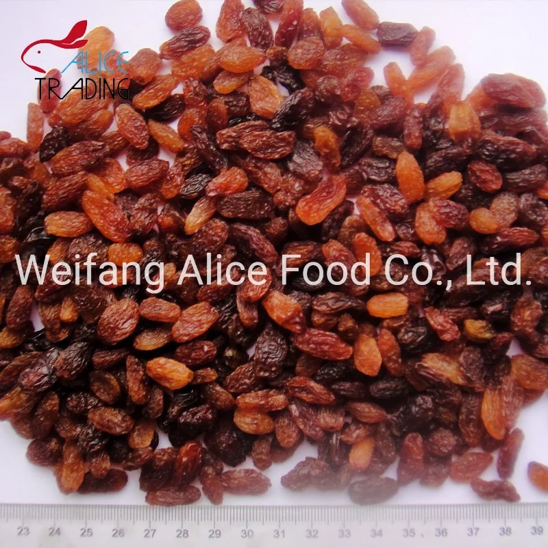 De bonne qualité en vrac chinoise du Xinjiang raisins secs sultanines rouge