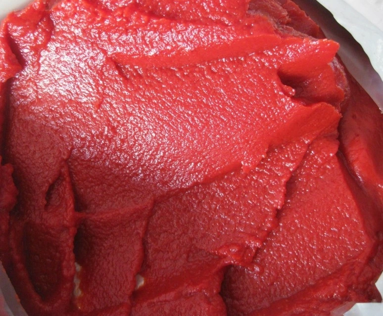 Canned Tomato Paste in Hot Sales Factory Supply in High quality/High cost performance 