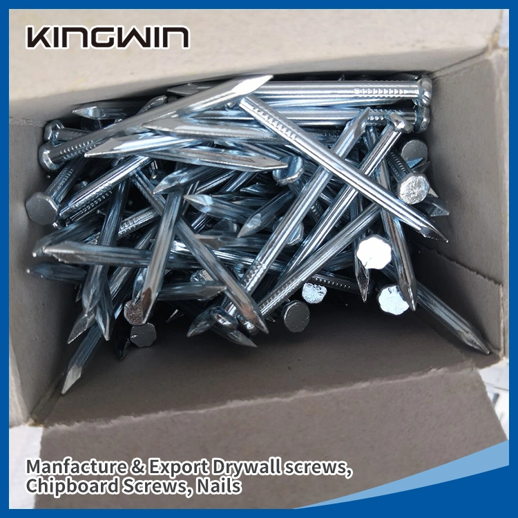 Factory Wholesale/Supplier 1"-4" Galvanized Black White Concrete / Roofing / Shoe Tack / Common / Nails for Africa Nigeria / Ethiopia Market with White Blue Color