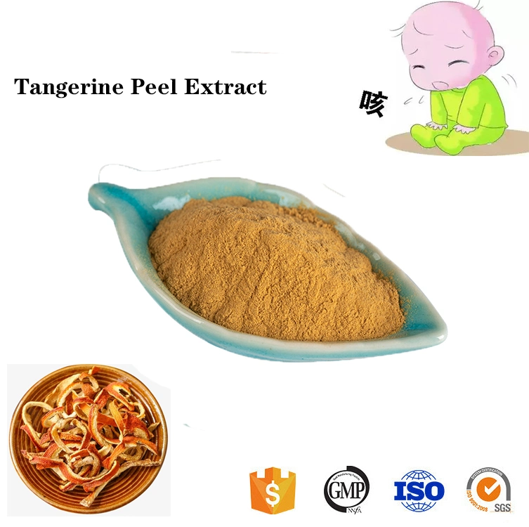 Natural Plant Tangerine Organic Peel Extract Powder Chenpi Extract