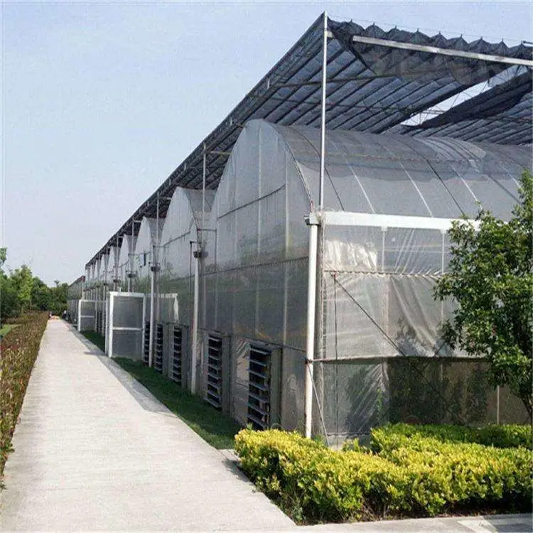 Cheap Tomato Agricultural Plastic Film Cover Low Cost Economic Tunnel Greenhouse for Vegetable