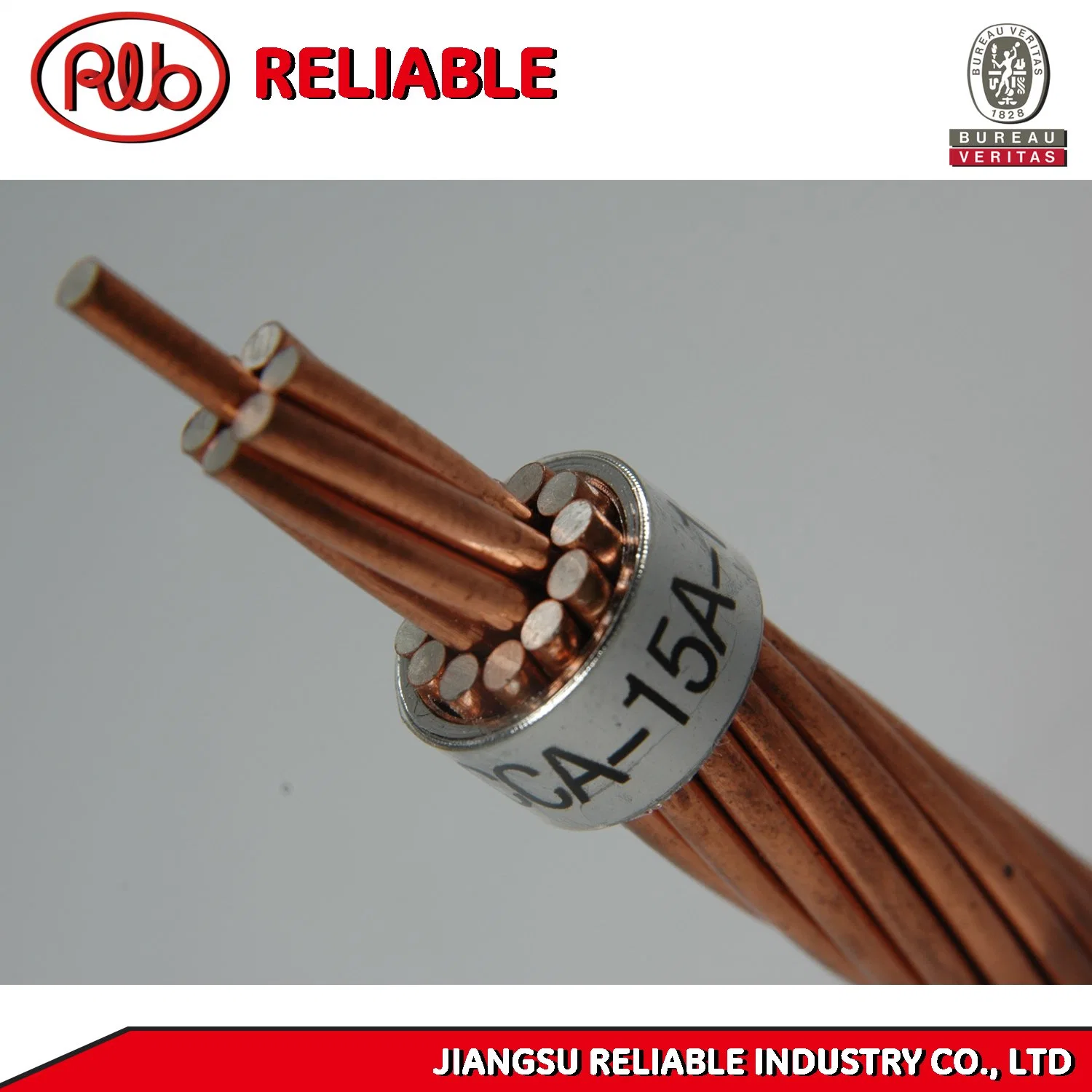 XLPE Insulated Electric Aluminum Clad Power Cable for ACSR/AAC/AAAC/Gsw/Acar