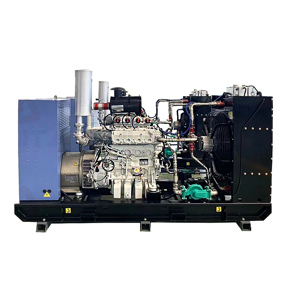 50kw Man Natural Gas Generator Generac with E0834e302