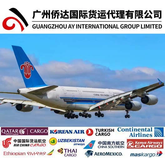 1688 Wholesale/Supplier Shipping Agent to Canada with Yiwu Export Company/Guagnzhou Freight Forwarder