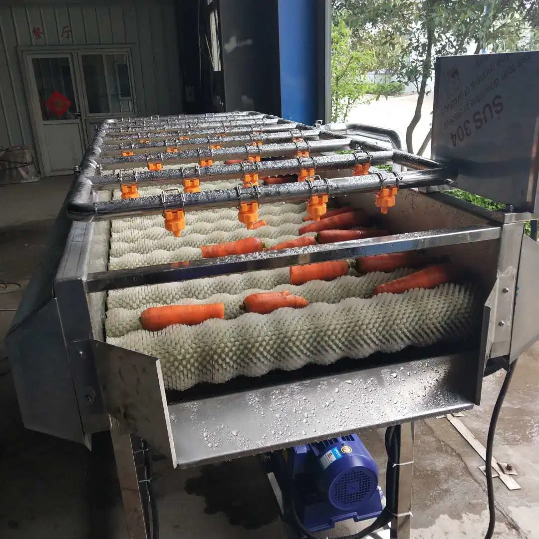 Équipement de lavage de la brosse de fruits prix d'usine gingembre de manioc Peeler