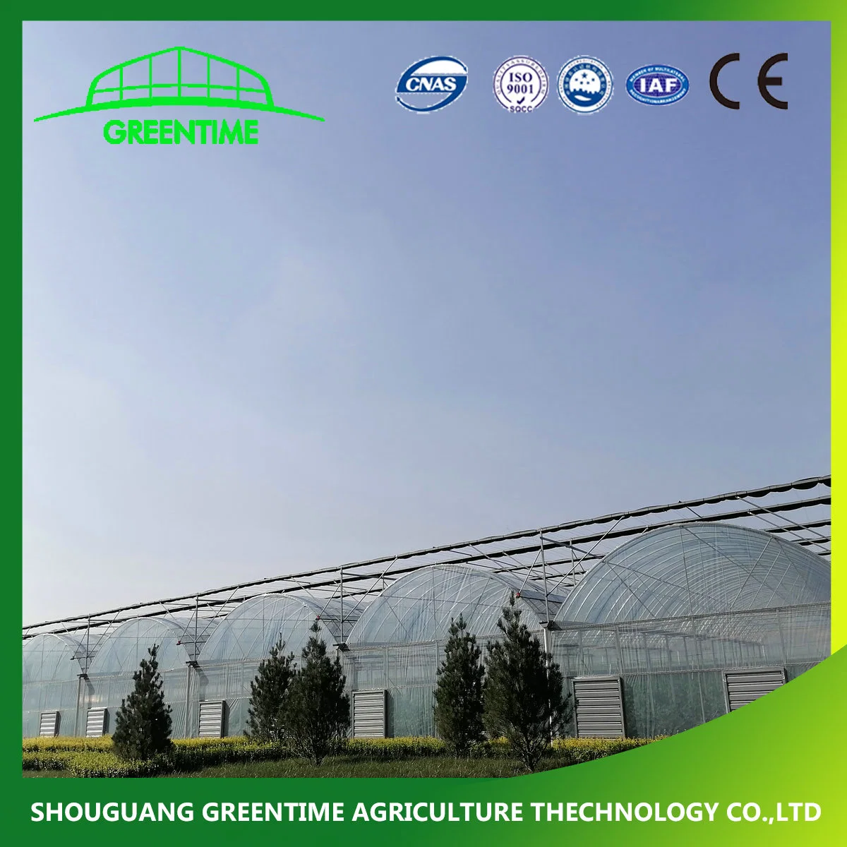 Hot Sale Multi-Span Film Agricultural Greenhouse for Planting Pepper