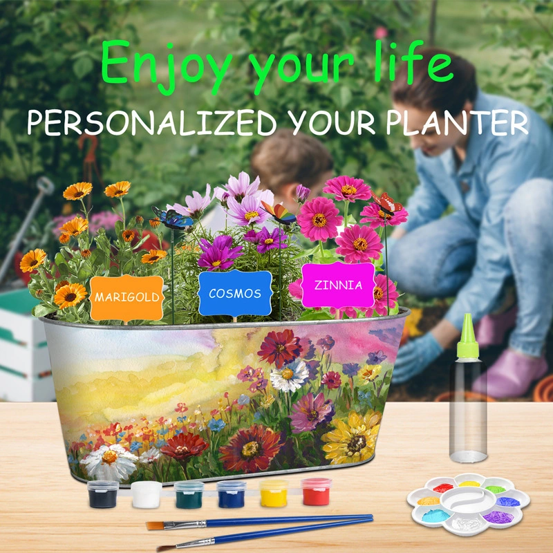 DIY Planting Pot Set Indoor Flowers and Plants Growing Set Wholesale/Supplier