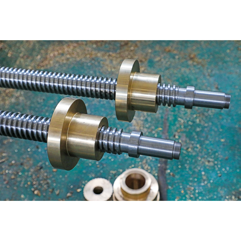 Advanced Lubrication System Swl Worm Gear Screw Elevator for Low Maintenance