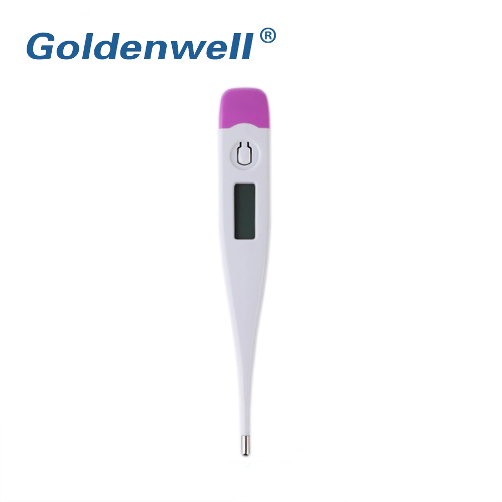 Wholesale/Supplier Low Price Portable Digital Thermometer Medical with CE ISO